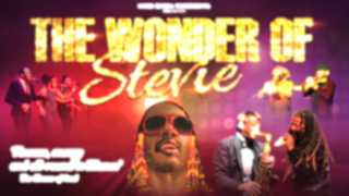 The Wonder of Stevie  10 Piece  by The Wonder of Stevie